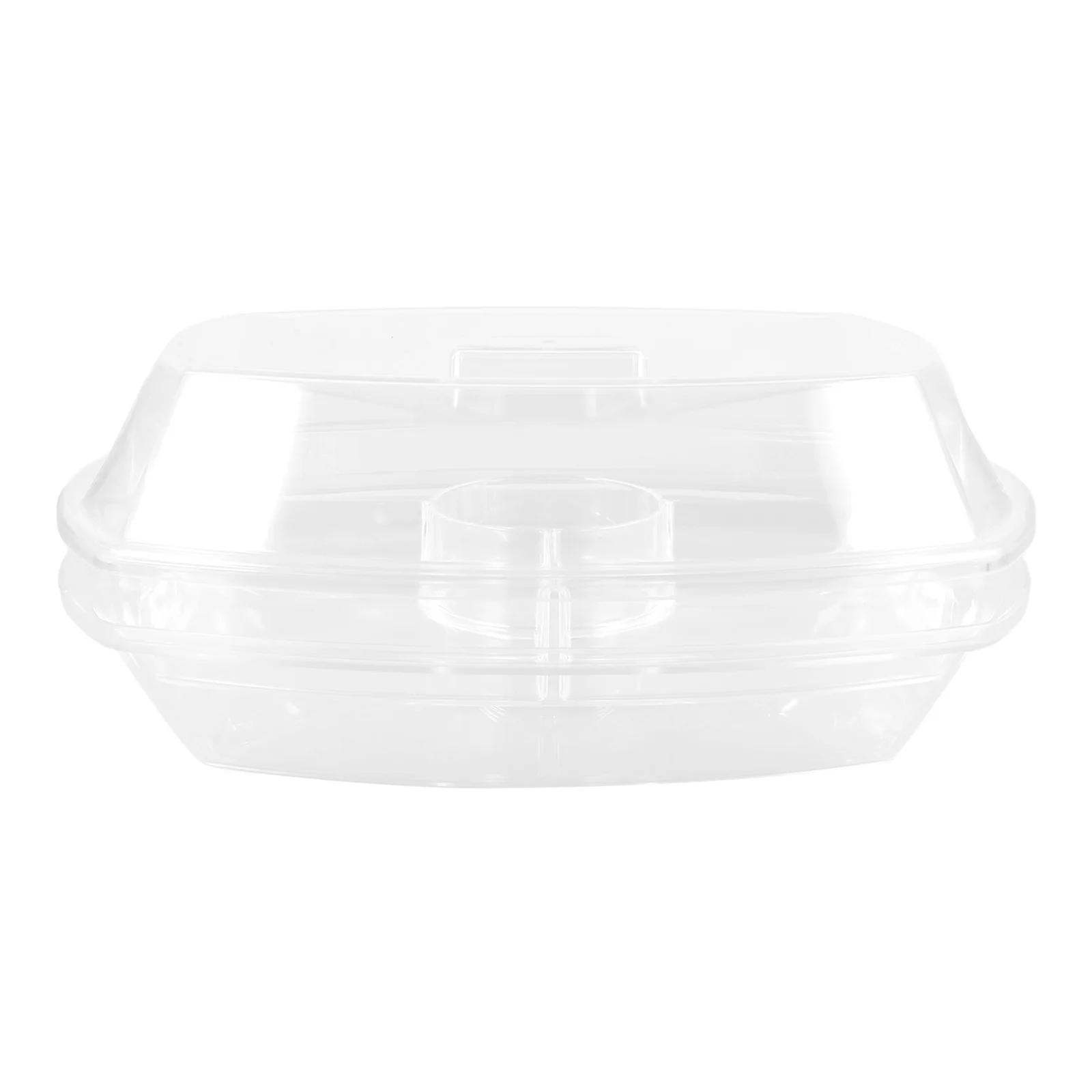 Ice Chilled Party Tray Transparent Veggie Snack Box Divided Serving Trays For Fruits Vegetables Gatherings Picnics
Ice Chilled Party Tray Transparent Veggie Snack Box Divided Serving Trays For Fruits Vegetables Gatherings Picnics