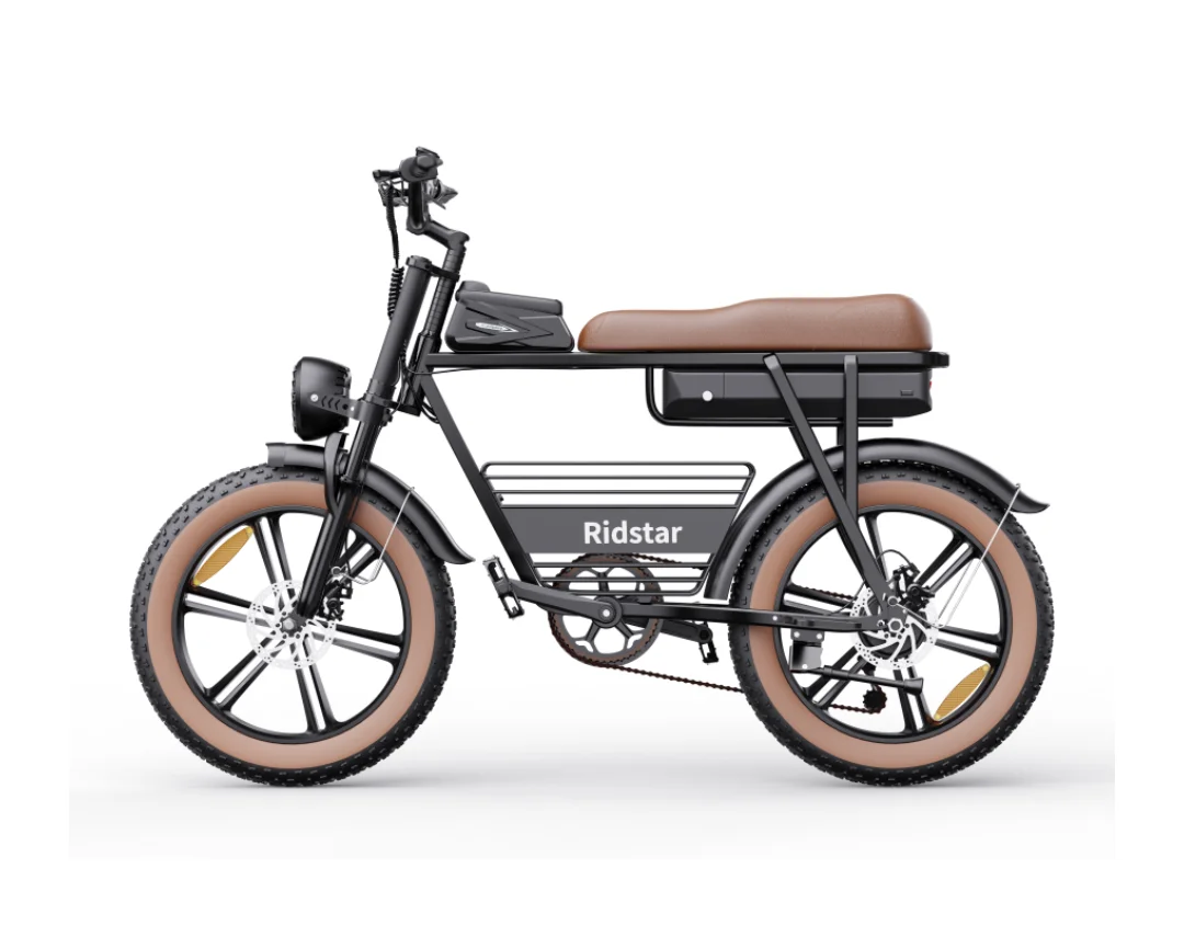High Quality 20inch Aluminium Frame Disc Brake Electric City Bike Electric Bikes for Adult
High Quality 20inch Aluminium Frame Disc Brake Electric City Bike Electric Bikes for Adult