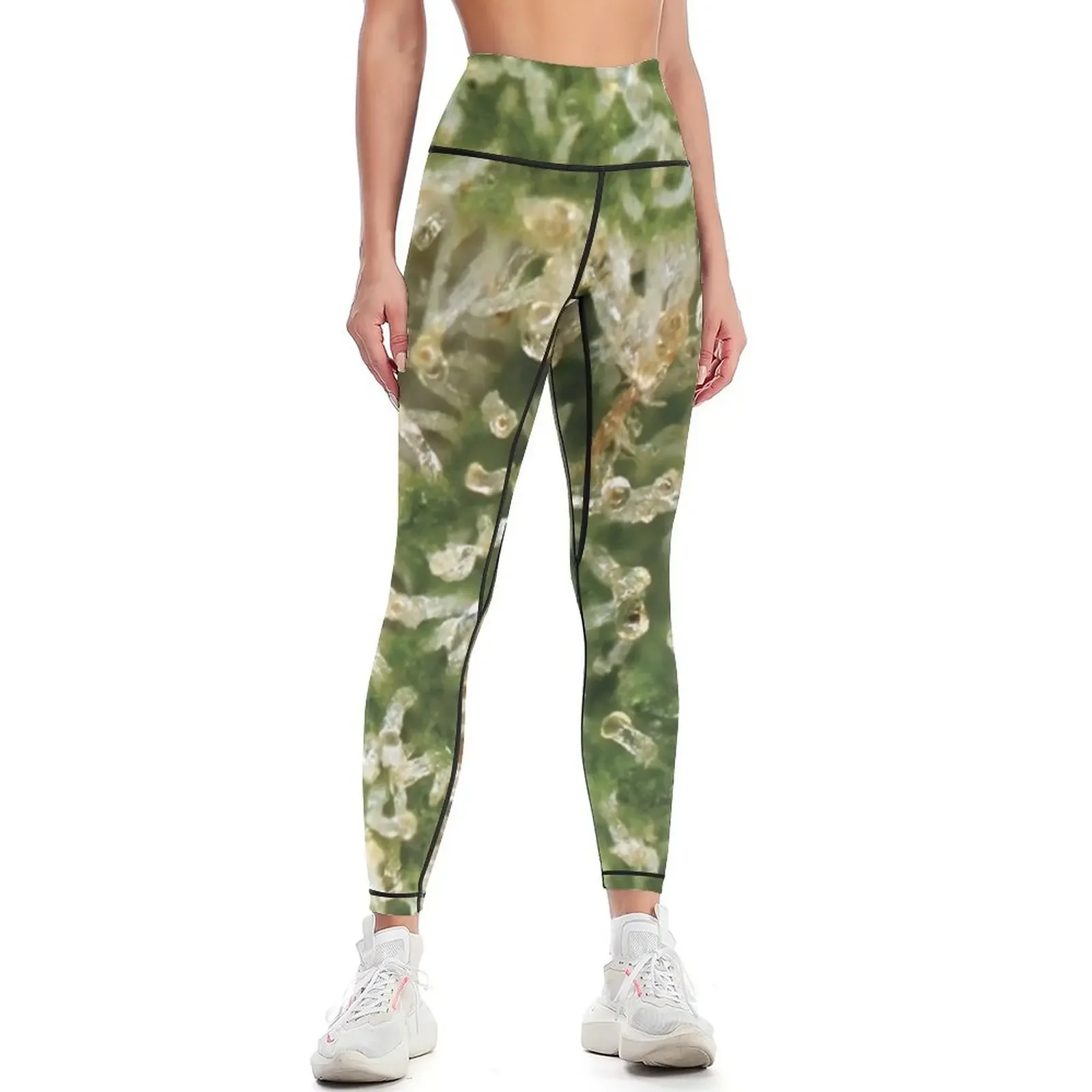 Trichome 16 Leggings push up fitness Women's gym sports for gym legging push up Womens Leggings
Trichome 16 Leggings push up fitness Women's gym sports for gym legging push up Womens Leggings