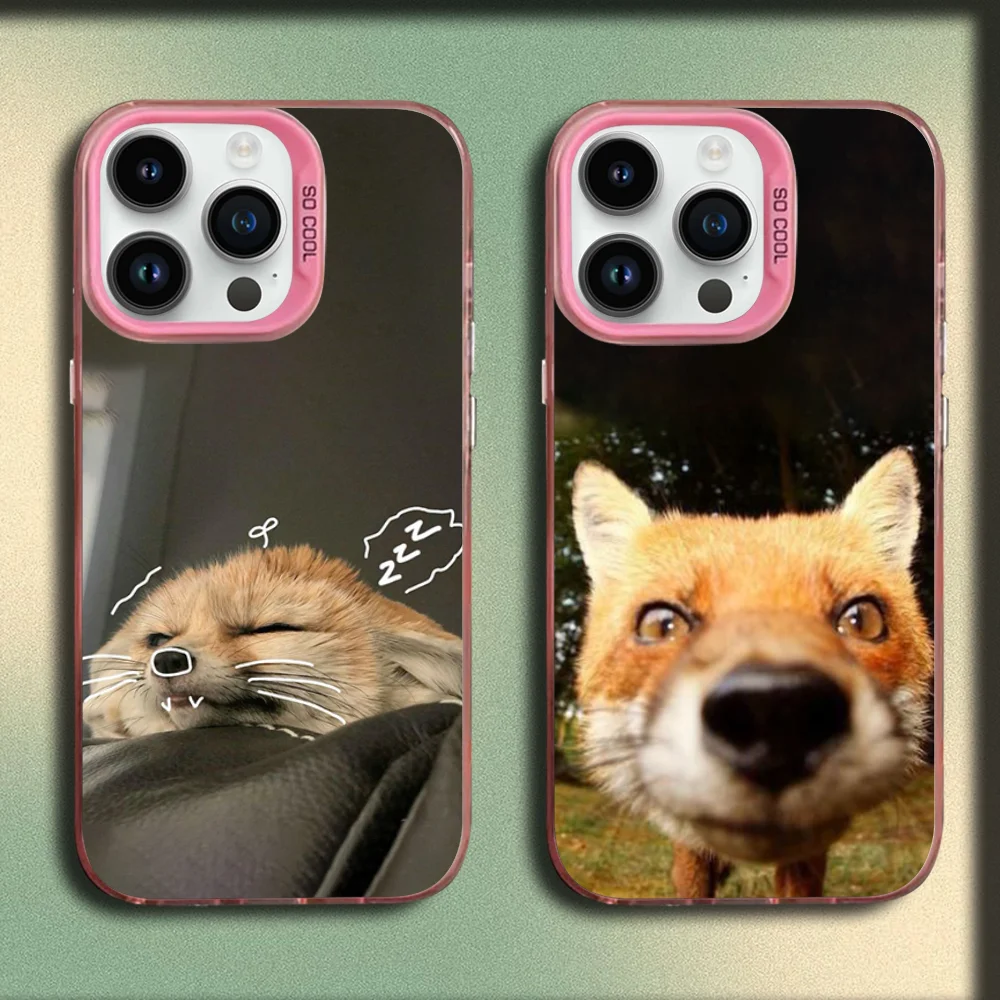 Cute Fox Pet Phone Case For iPhone 16,15,14,13,12,11,Mini,Pro,SE,MAX Pink Matte Silicone Cover
Cute Fox Pet Phone Case For iPhone 16,15,14,13,12,11,Mini,Pro,SE,MAX Pink Matte Silicone Cover