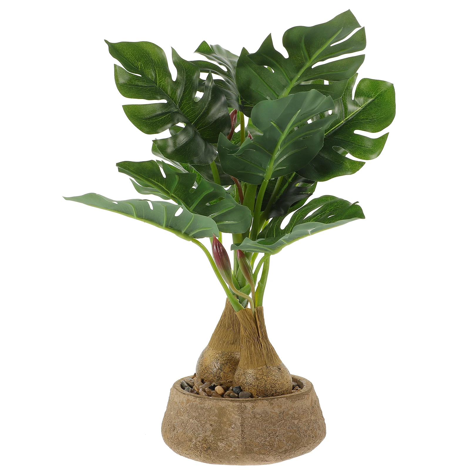 Artificial Turtle Leaf Plant Lifelike Compact Beautiful Texture Versatile Faux Plants Indoor Home Office Decor Mini
Artificial Turtle Leaf Plant Lifelike Compact Beautiful Texture Versatile Faux Plants Indoor Home Office Decor Mini