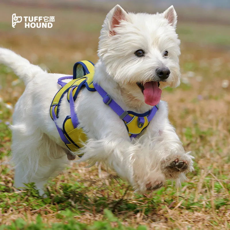 tuffhound It Wishes Pet Products Wholesale Cross-border Dog Chest and Back Large Explosion-proof Punch Strong Bite-proofTraction
tuffhound It Wishes Pet Products Wholesale Cross-border Dog Chest and Back Large Explosion-proof Punch Strong Bite-proofTraction