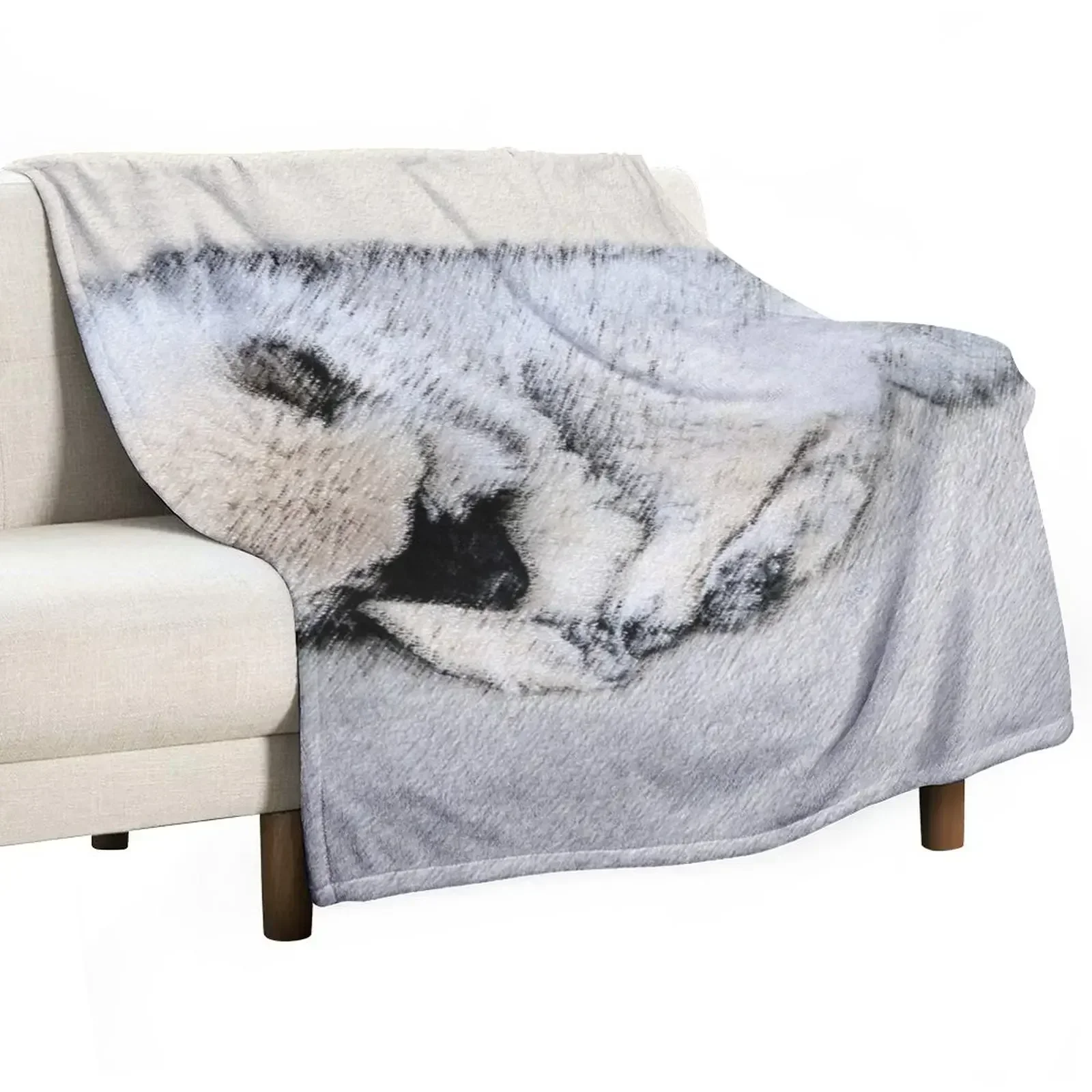 Keeshond Puppy (Sleeping) Throw Blanket Luxury Thicken Sofa Throw Bed linens Blankets
Keeshond Puppy (Sleeping) Throw Blanket Luxury Thicken Sofa Throw Bed linens Blankets