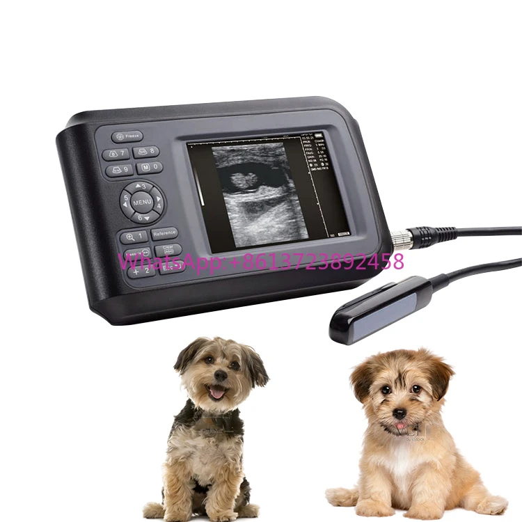 Veterinary JHB-120V Handhold Vet Ultrasound Scanner Animal Judgement Medical Device Puppy Horse Ultrasound Machine
Veterinary JHB-120V Handhold Vet Ultrasound Scanner Animal Judgement Medical Device Puppy Horse Ultrasound Machine