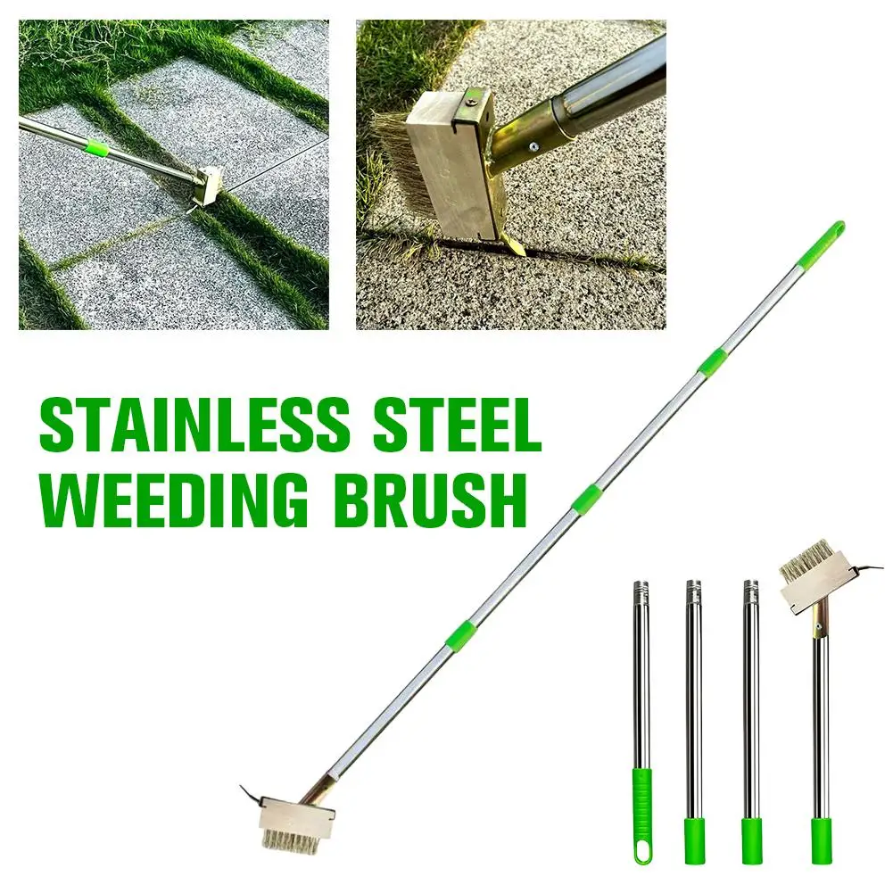 Stainless Steel Detachable Weeding Brush for Weeding Stone Board Gap Cleaning Garden Tools for Deck Patio Walkwa
Stainless Steel Detachable Weeding Brush for Weeding Stone Board Gap Cleaning Garden Tools for Deck Patio Walkwa