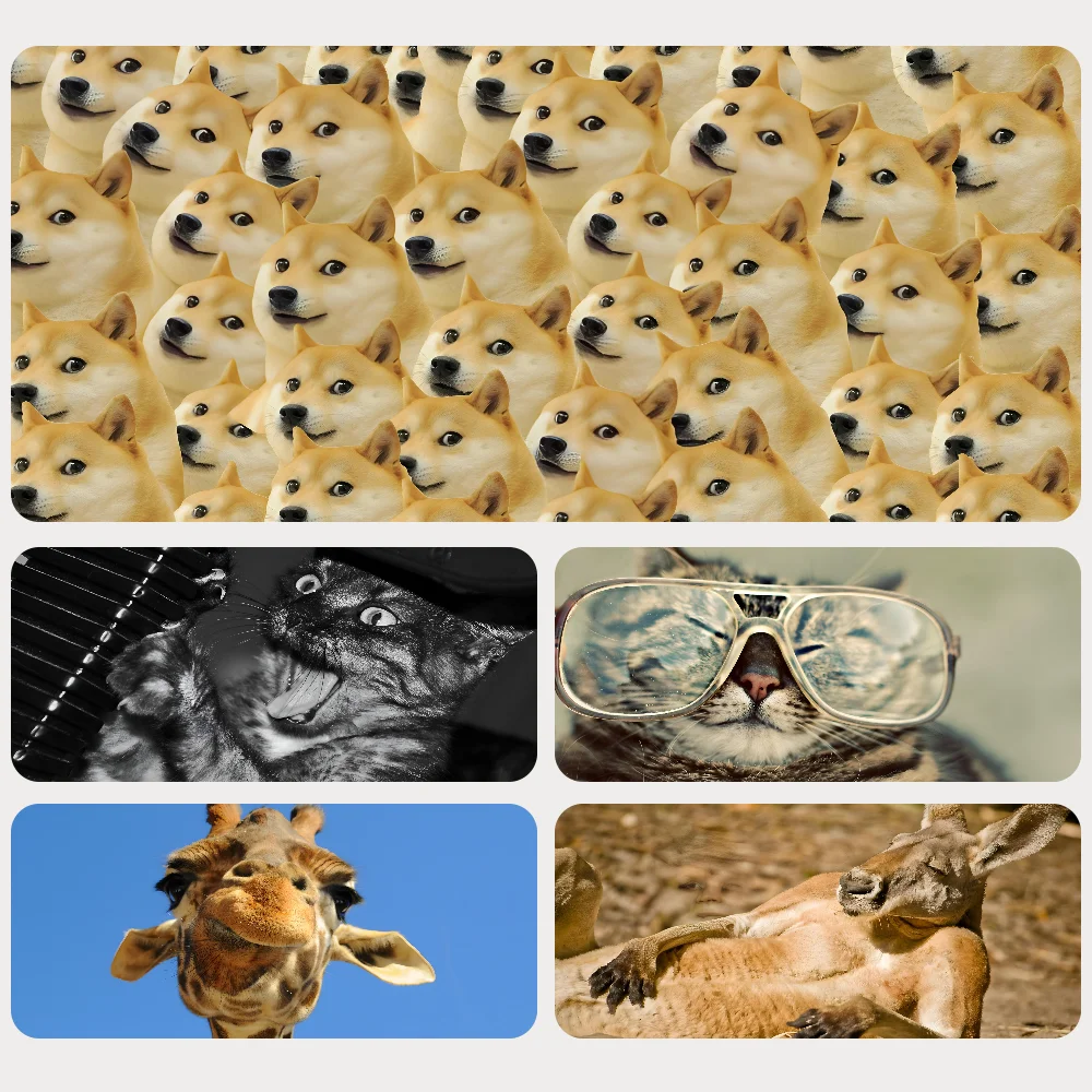 Funny Animals Mousepad Mouse Mat Desk Mat With Pad Gaming Accessories Prime Gaming XXL Keyboard Pad Padding Mat
Funny Animals Mousepad Mouse Mat Desk Mat With Pad Gaming Accessories Prime Gaming XXL Keyboard Pad Padding Mat