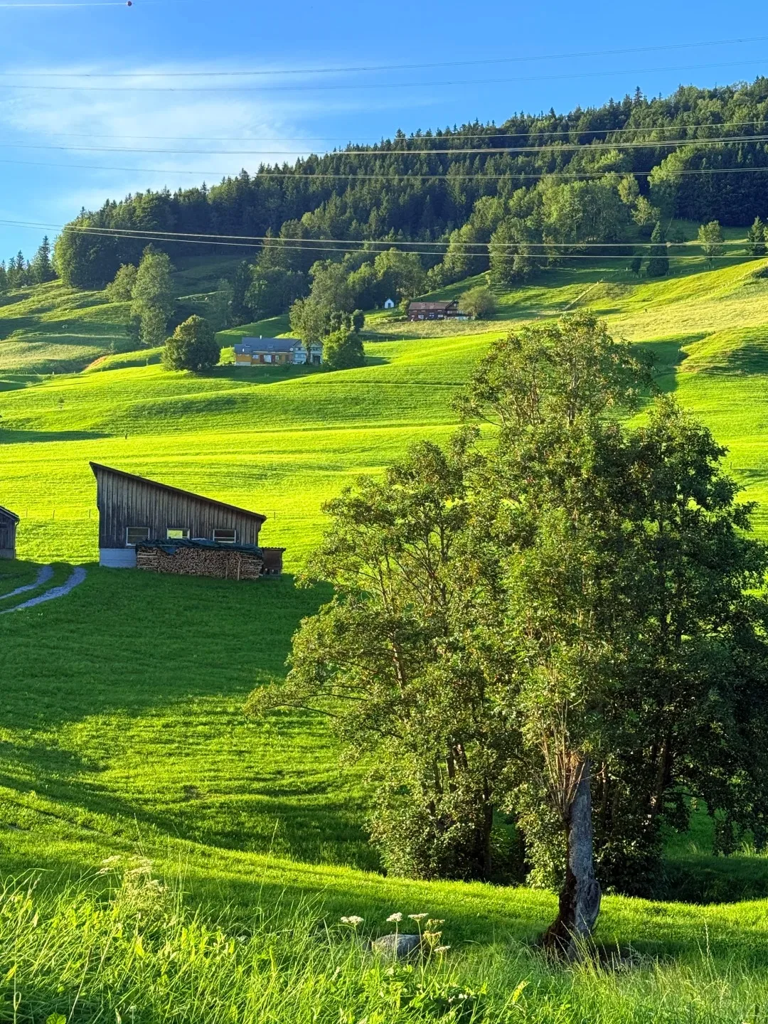 1000PCS Swiss Alpine Meadow Jigsaw Puzzle, Green Hills & Wooden BarnsEducational Games Colorful Puzzles Gifts Home Decor
1000PCS Swiss Alpine Meadow Jigsaw Puzzle, Green Hills & Wooden BarnsEducational Games Colorful Puzzles Gifts Home Decor
