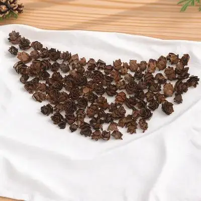 Pine Flower Decorations Pinecone Ornaments for Christmas Tree Cones Miniature Pinecones
Pine Flower Decorations Pinecone Ornaments for Christmas Tree Cones Miniature Pinecones