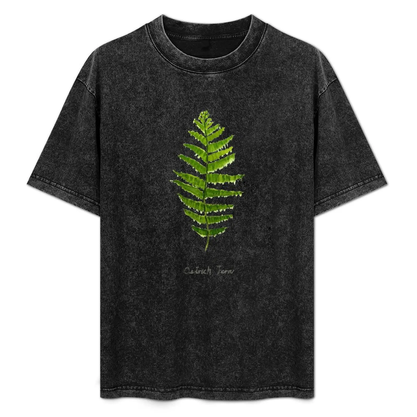 Ostrich fern watercolor T-Shirt Street Art Print Tee Shirt
Ostrich fern watercolor T-Shirt Street Art Print Tee Shirt
