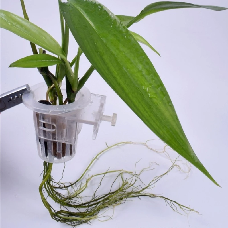 Aquariums Plant Stand Water Plant Holder Plant Cups Decorative Cup Landscaping Plant Holder for FishTanks 
Aquariums Plant Stand Water Plant Holder Plant Cups Decorative Cup Landscaping Plant Holder for FishTanks