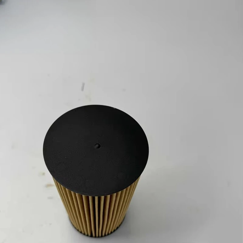 23823960 VOE 23823960 High Quality OEM China Made Truck Fuel Filter
23823960 VOE 23823960 High Quality OEM China Made Truck Fuel Filter