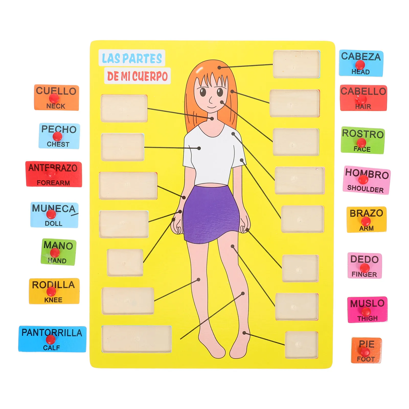 1Set Spanish Wooden Human Body Puzzle Educational Board for Children Early Learning Body Parts Cognitive Tool Kindergarten Home
1Set Spanish Wooden Human Body Puzzle Educational Board for Children Early Learning Body Parts Cognitive Tool Kindergarten Home