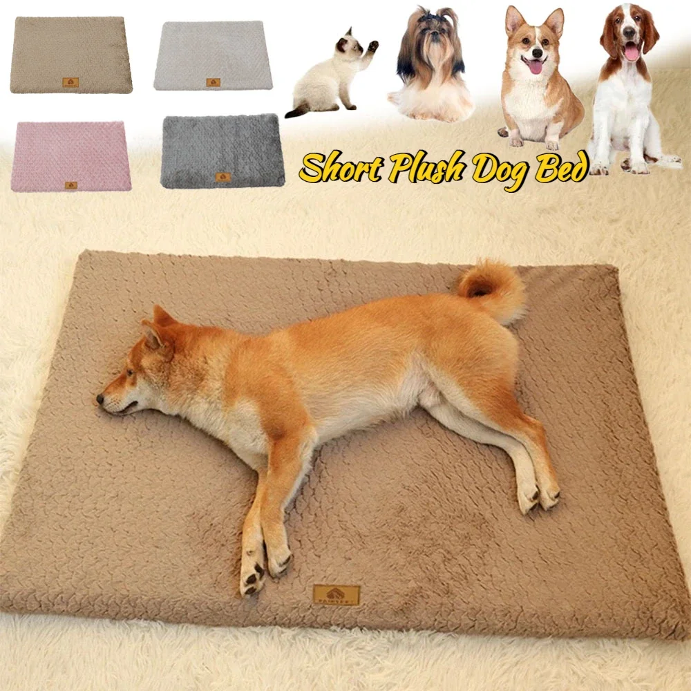 1PC Sponge Cushion Warm Plush Pet Bed with Removable Washable Soft Comfortable with Anti-Slip Bottom Dog Cat Bed Cama Para Perro
1PC Sponge Cushion Warm Plush Pet Bed with Removable Washable Soft Comfortable with Anti-Slip Bottom Dog Cat Bed Cama Para Perro