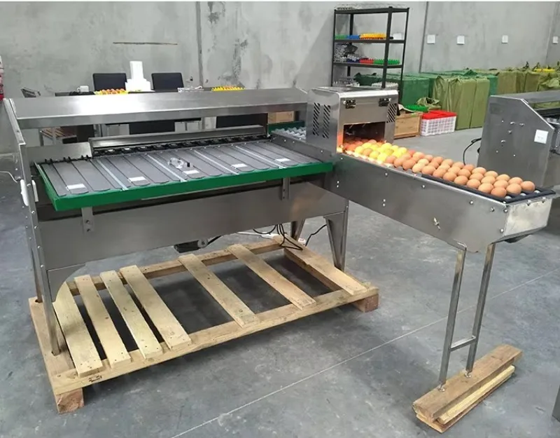 Hourly Capacity High Capacity Egg Weight Sorter Egg Sorter
Hourly Capacity High Capacity Egg Weight Sorter Egg Sorter