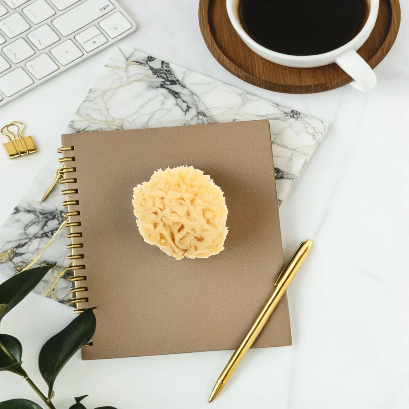 Natural Sea Sponge 2.0-2.5 Inch Soft Absorbent For Watercolor Painting Artists Craft Projects Wall Texture Art Sponge
Natural Sea Sponge 2.0-2.5 Inch Soft Absorbent For Watercolor Painting Artists Craft Projects Wall Texture Art Sponge