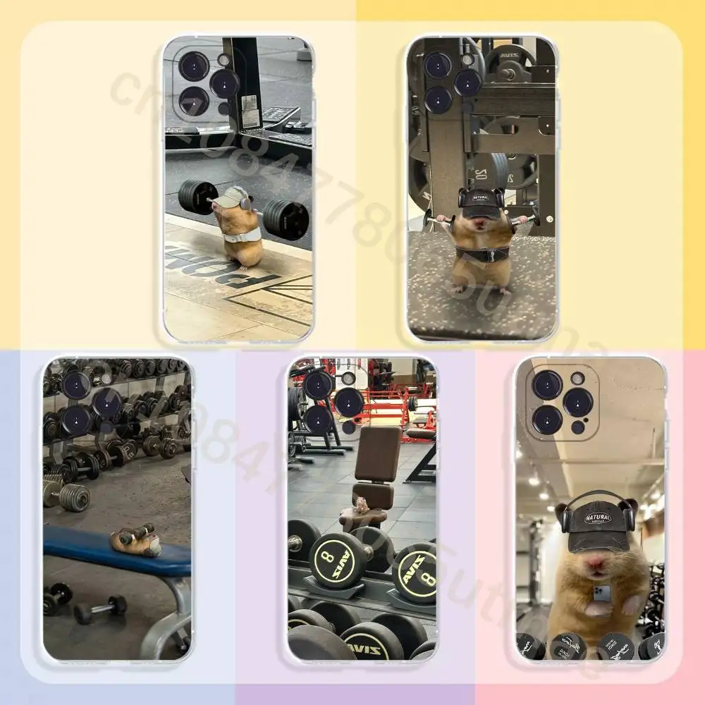 Cute Gym Hamster Phone Case For iPhone17,16,15,14,13,12,11,Pro,Xs,Max,Mini,Plus Antislip Shockproof Hard
Cute Gym Hamster Phone Case For iPhone17,16,15,14,13,12,11,Pro,Xs,Max,Mini,Plus Antislip Shockproof Hard