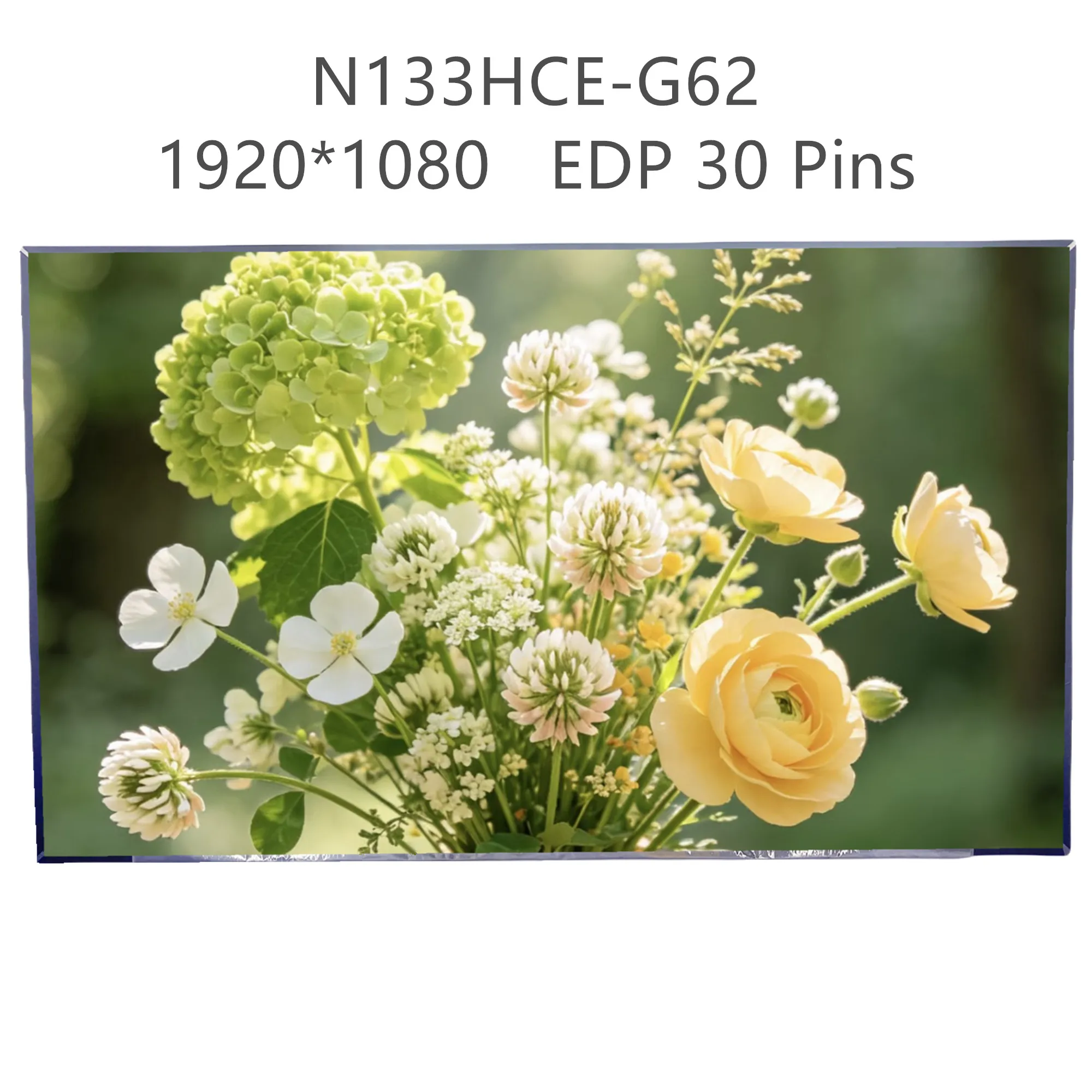 13.3'' N133HCE-G62 Laptop LCD Screen Display Panel Matrix 1920*1080 EDP 30 Pins
13.3'' N133HCE-G62 Laptop LCD Screen Display Panel Matrix 1920*1080 EDP 30 Pins
