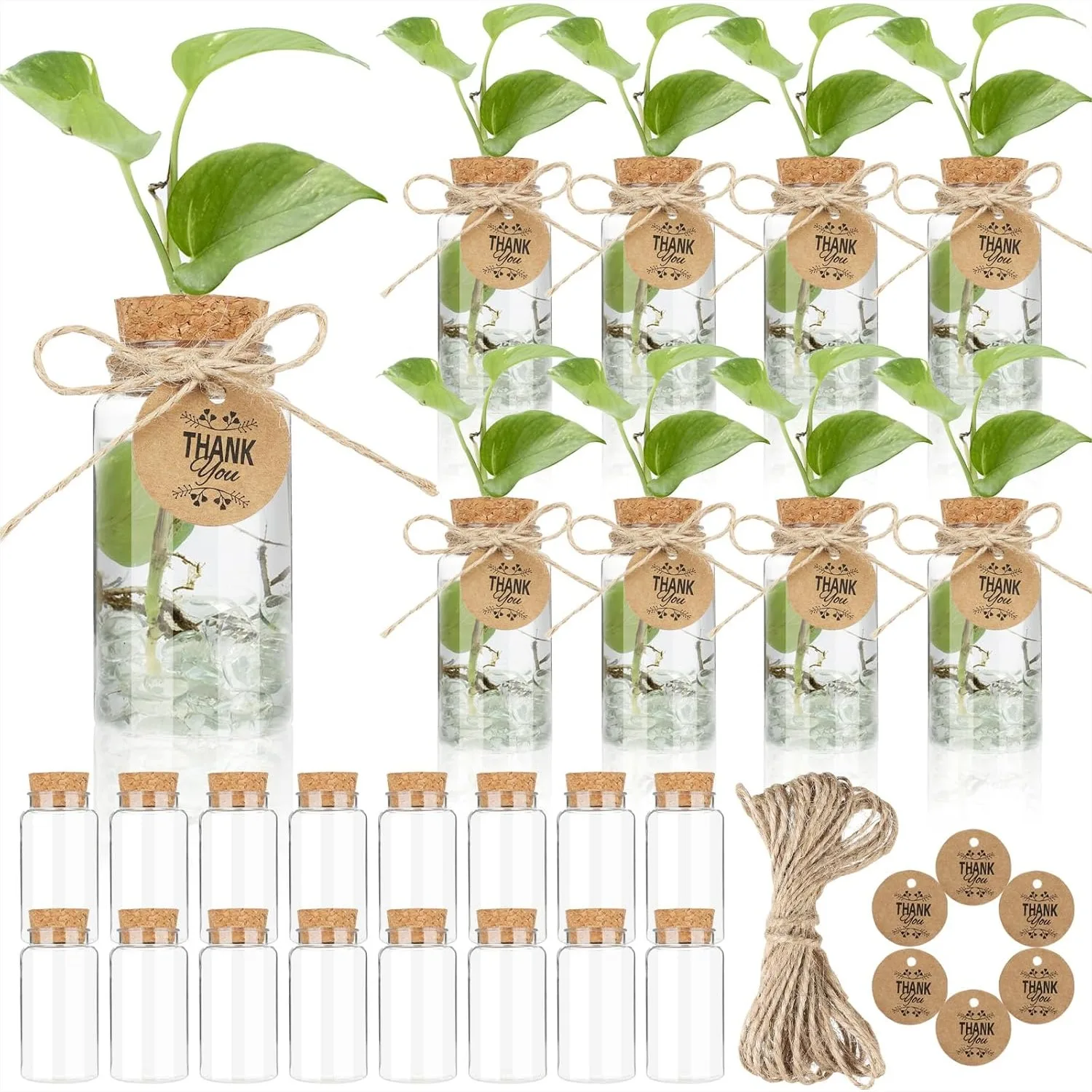 24 Pack 4oz Plastic Plant Propagation Jars with Cork Lids and Thank You Tags for Hydroponic Plants, Pothos, Succulents, Home
24 Pack 4oz Plastic Plant Propagation Jars with Cork Lids and Thank You Tags for Hydroponic Plants, Pothos, Succulents, Home