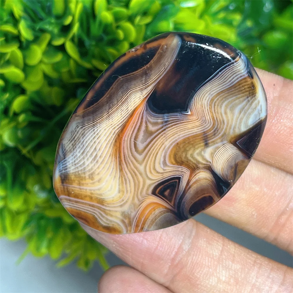 Red Carnelian Palm Stone Quartz Feng Shui Reiki Massage Stone Home DecoratiGift Healing Polishing Healing Spiritual Decoration
Red Carnelian Palm Stone Quartz Feng Shui Reiki Massage Stone Home DecoratiGift Healing Polishing Healing Spiritual Decoration