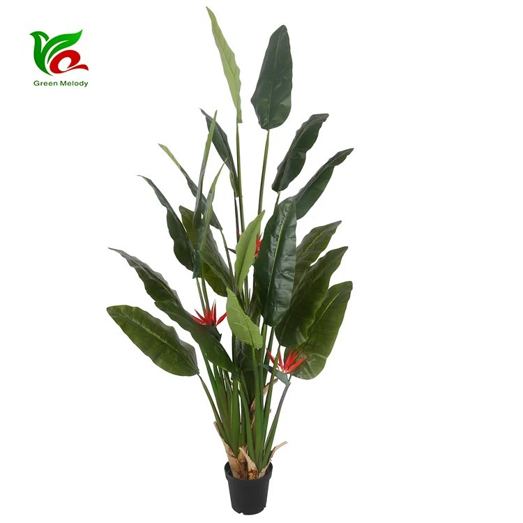 Natural-Design 2.4m Home Decorative/Ornamental Artificial Strelitzia Plant
Natural-Design 2.4m Home Decorative/Ornamental Artificial Strelitzia Plant