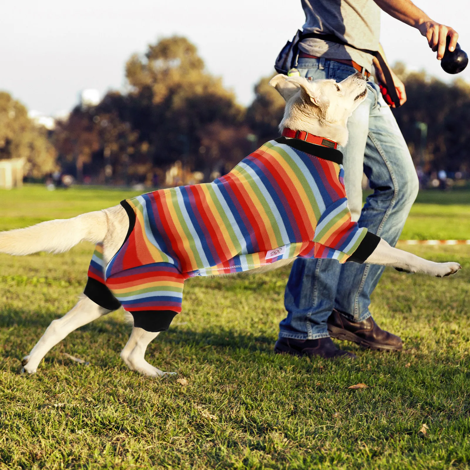Rainbow Color Dog Recovery Shirt Post Surgery Protective Suit for Wound Licking Prevention Warm Comfortable Fit Easy Wear Pet
Rainbow Color Dog Recovery Shirt Post Surgery Protective Suit for Wound Licking Prevention Warm Comfortable Fit Easy Wear Pet