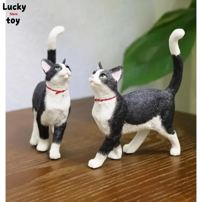 Мини Масштаб 1/6 черно-белая кошка модель животного резиновый солдат игрушка фигурки декоративные аксессуары
Мини Масштаб 1/6 черно-белая кошка модель животного резиновый солдат игрушка фигурки декоративные аксессуары