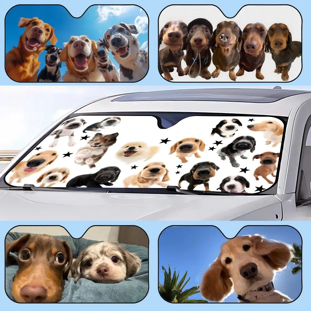 dog cut Sun Visor Retractable Car Sun Visor Anti-Glare UV Protection Front Window Sunshade
dog cut Sun Visor Retractable Car Sun Visor Anti-Glare UV Protection Front Window Sunshade