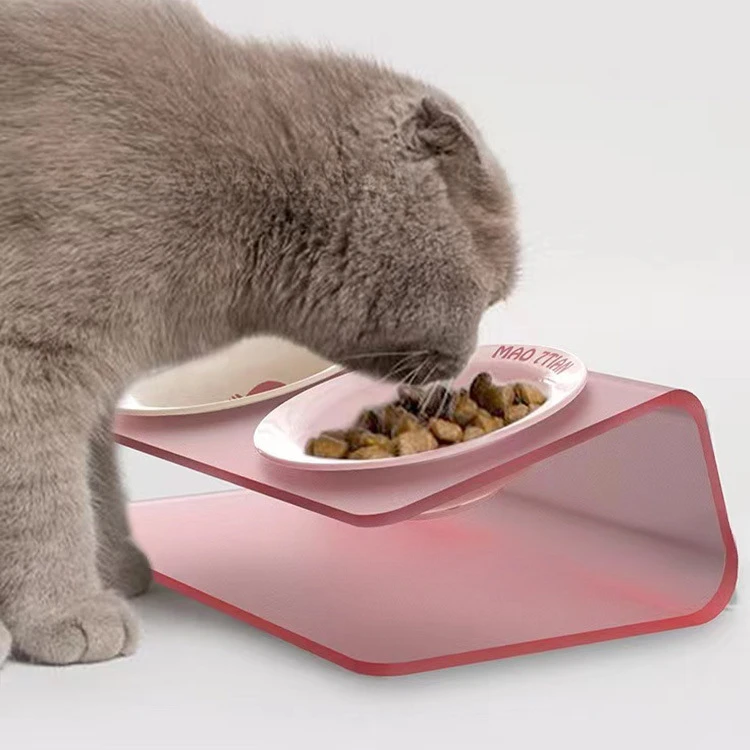 Wholesale pet cat feeder double bowl ceramic shelf acrylic cat food bowl small dog bowl shelf
Wholesale pet cat feeder double bowl ceramic shelf acrylic cat food bowl small dog bowl shelf