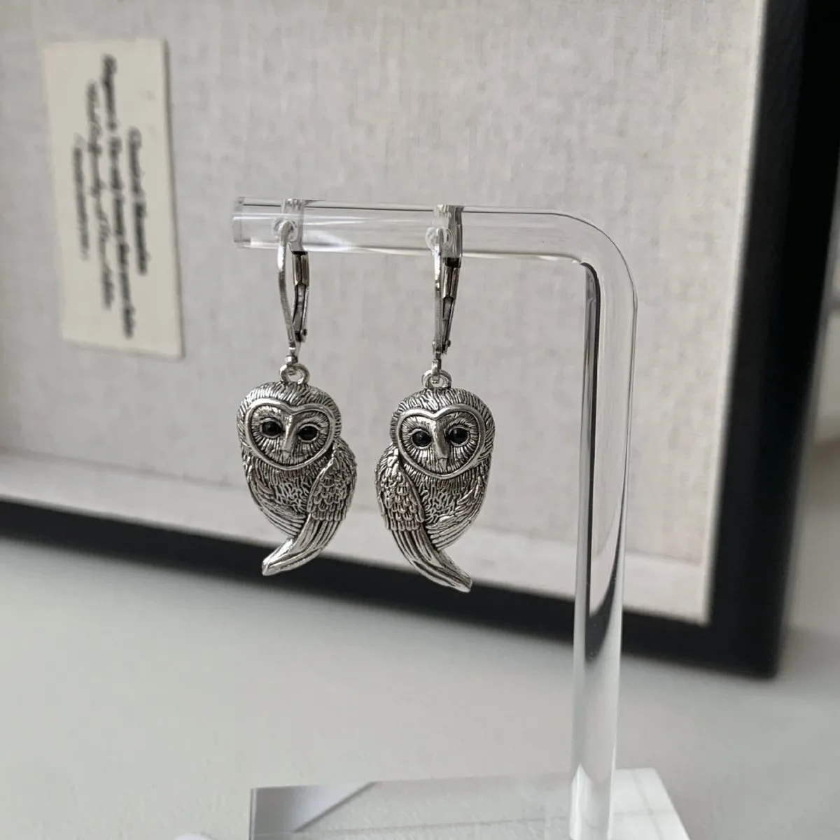 Vintage Luxury Owl Earrings Niche European Animal Jewelry Dangle Stud Ear Accessories For Ladies
Vintage Luxury Owl Earrings Niche European Animal Jewelry Dangle Stud Ear Accessories For Ladies