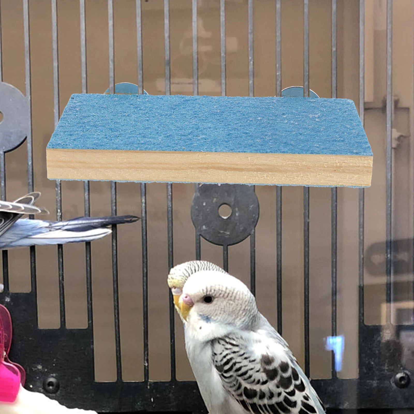 2 Pcs Pet Platform Accessories Parrot Perch Stand Bird Perches Toy Platforms Cage Cages Birds
2 Pcs Pet Platform Accessories Parrot Perch Stand Bird Perches Toy Platforms Cage Cages Birds
