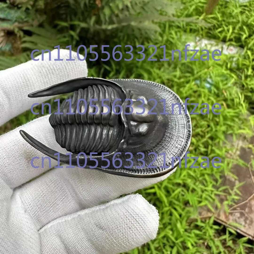 chinese old bronze hand casting trilobite statue netsuke collectable ornament
chinese old bronze hand casting trilobite statue netsuke collectable ornament