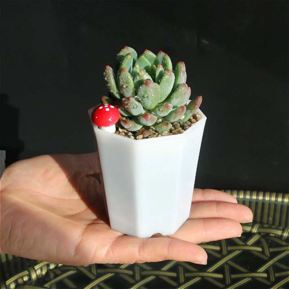 10 Pcs Octagonal Flower Pot Small Succulent Planters Plastic Draining Holes Balcony Living Room Garden Planter Container
10 Pcs Octagonal Flower Pot Small Succulent Planters Plastic Draining Holes Balcony Living Room Garden Planter Container