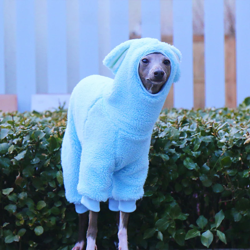 Winter Warm Pet Sweater Italian Greyhound Whippet Dog Clothes Pet Hoodie With Rabbit Ears Hat Four-Legged Thick Fleece Jumpsuit
Winter Warm Pet Sweater Italian Greyhound Whippet Dog Clothes Pet Hoodie With Rabbit Ears Hat Four-Legged Thick Fleece Jumpsuit