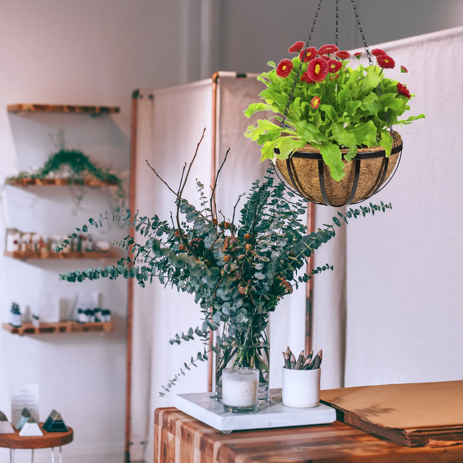 5 комплектов подкладок из натурального кокосового волокна для подвесных корзин с хорошим водопоглощением, влагоудерживающие маты для почвы, для растений, садоводства, декоративные
5 комплектов подкладок из натурального кокосового волокна для подвесных корзин с хорошим водопоглощением, влагоудерживающие маты для почвы, для растений, садоводства, декоративные