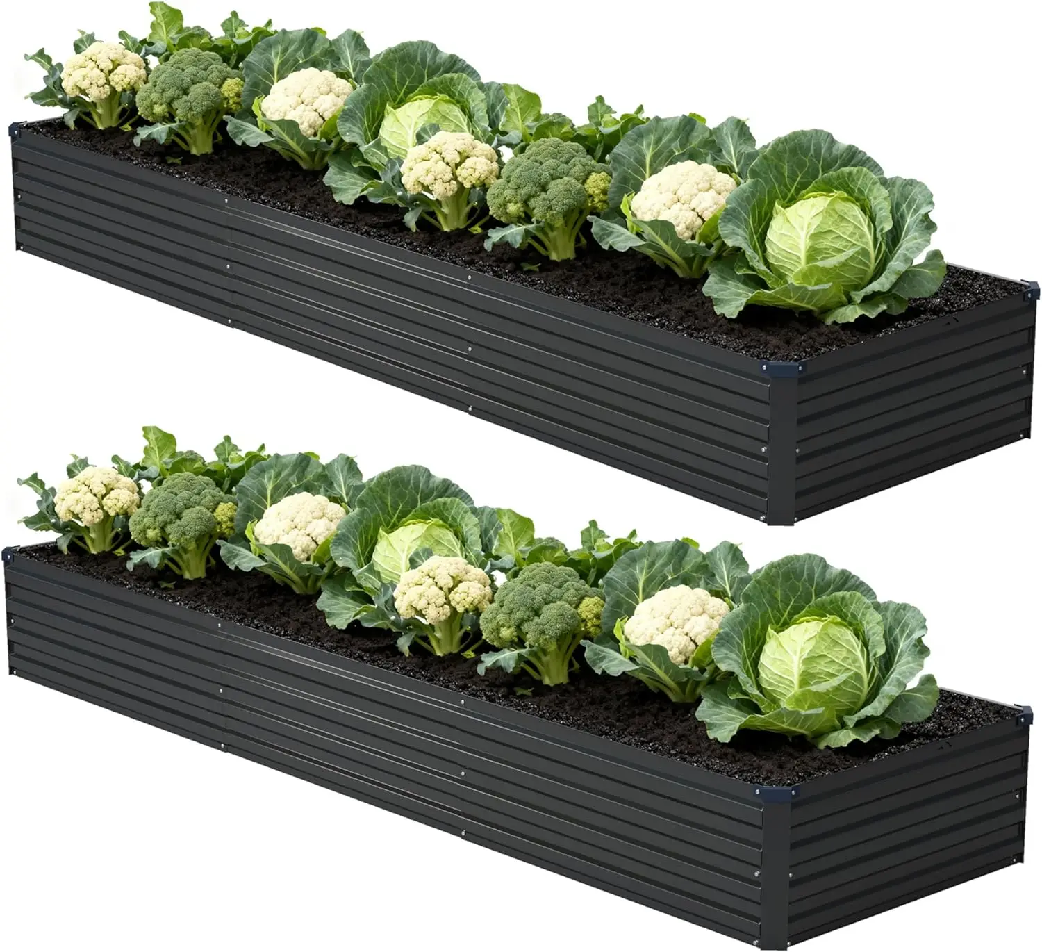12x2x1ft (2 Pack) Galvanized Raised Garden Bed, Outdoor Metal Planter Box for Vegetables Flowers Herbs, Black
12x2x1ft (2 Pack) Galvanized Raised Garden Bed, Outdoor Metal Planter Box for Vegetables Flowers Herbs, Black