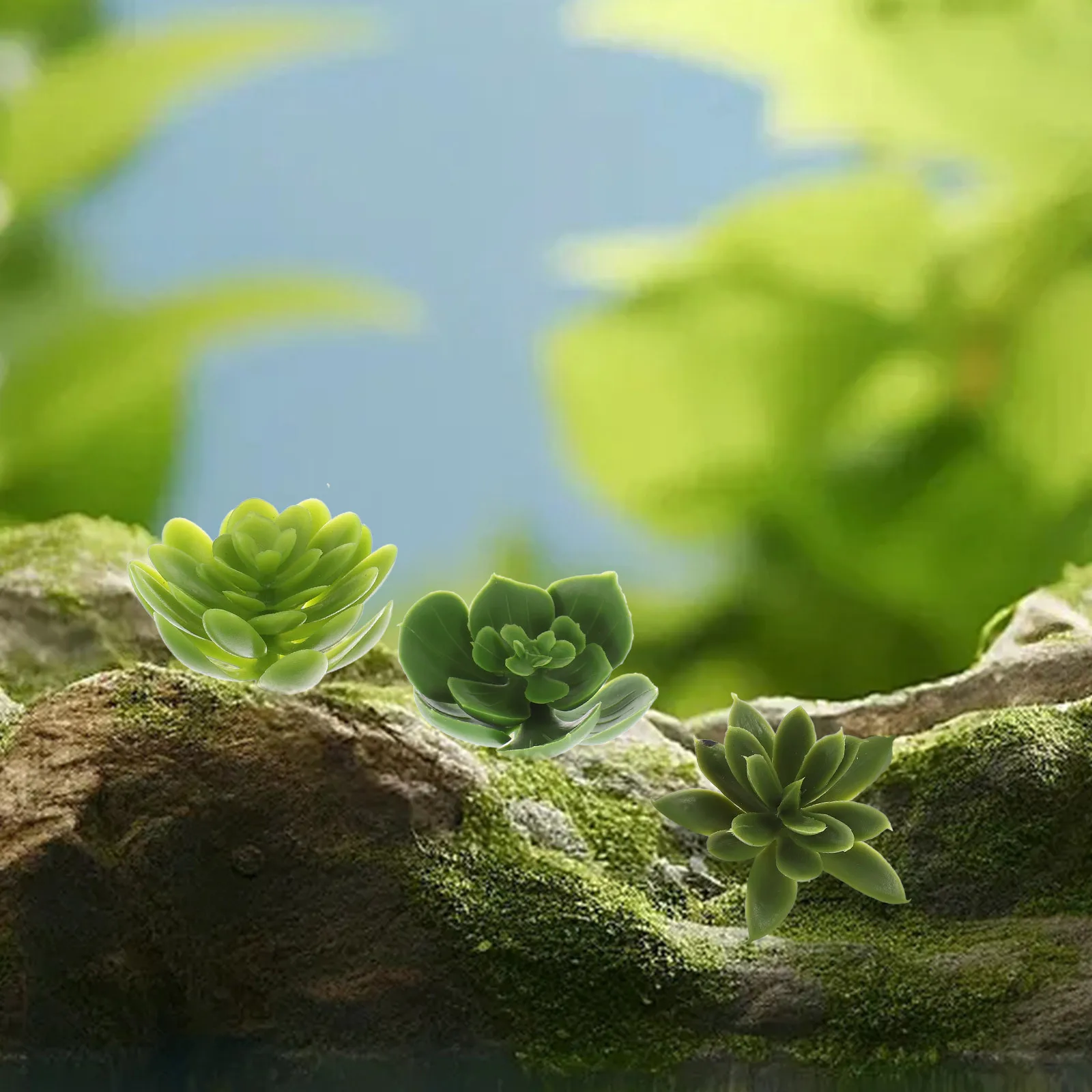 3pcs Simulated Succulent Sticks Decor Lifelike Artificial Succulent Plants Office Decoration Green Indoor Potted
3pcs Simulated Succulent Sticks Decor Lifelike Artificial Succulent Plants Office Decoration Green Indoor Potted