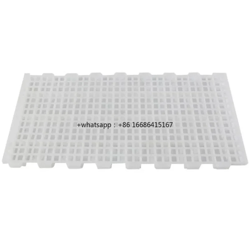 High Strength Poultry Shed Plastic Chick Broiler Plastic Slat Floorig Animal Chicken Farm Fowl Slat Net
High Strength Poultry Shed Plastic Chick Broiler Plastic Slat Floorig Animal Chicken Farm Fowl Slat Net