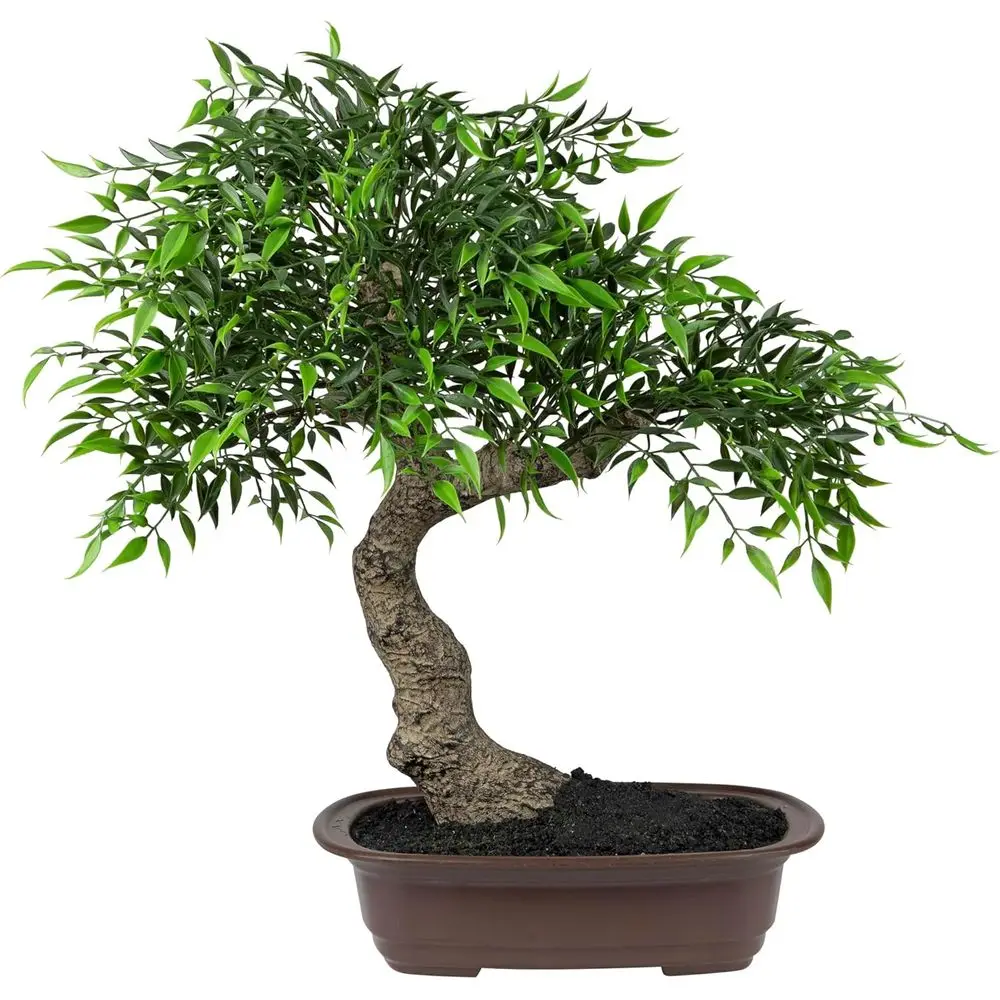 18. Высокое искусственное мини-бонсай в горшочке
18. Высокое искусственное мини-бонсай в горшочке