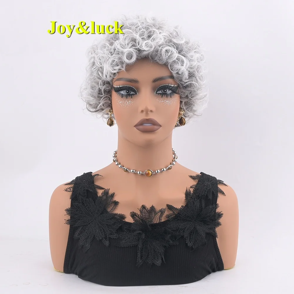 Synthetic grey short curly wig for women fluffy and youthful suitable for daily wear or attending parties
Synthetic grey short curly wig for women fluffy and youthful suitable for daily wear or attending parties
