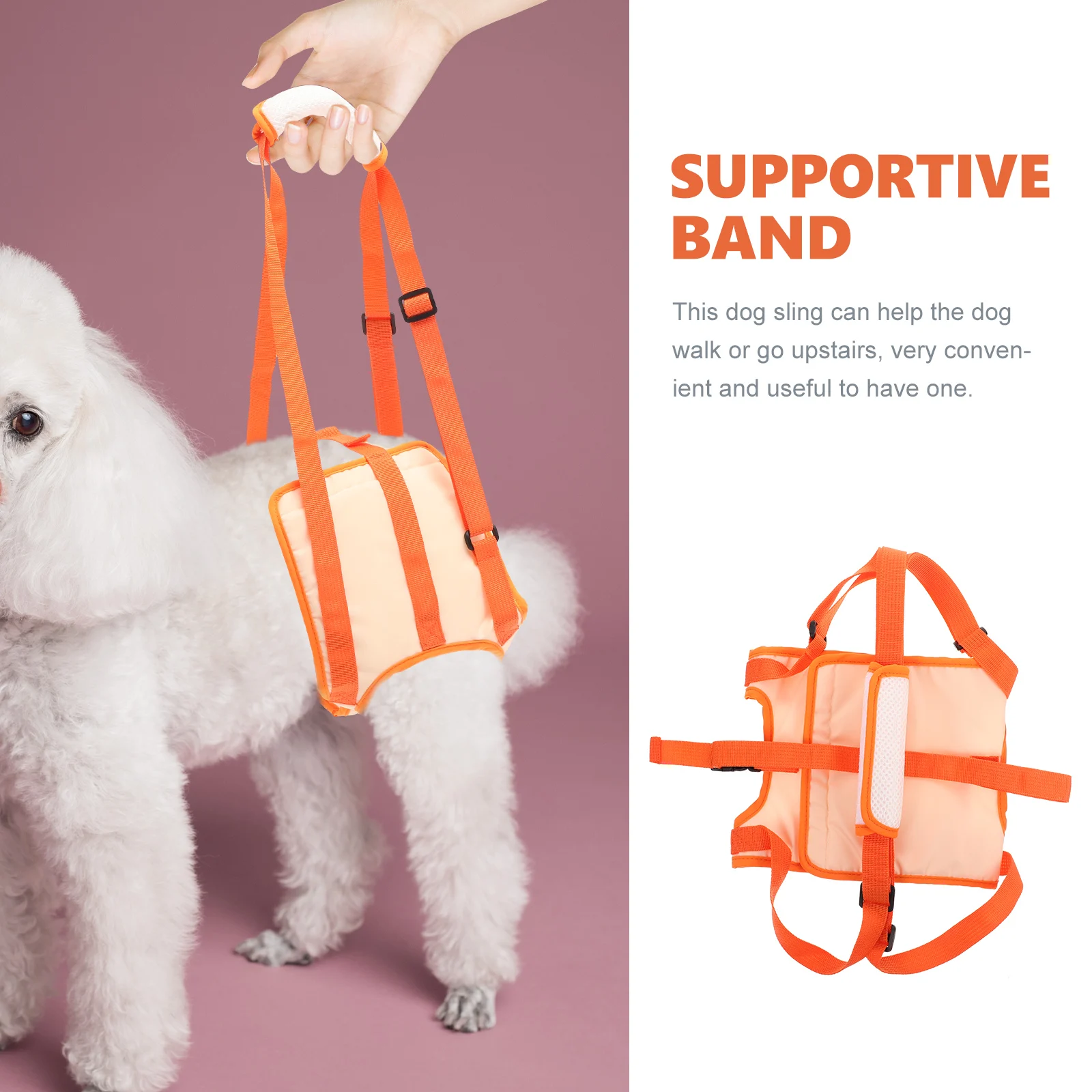 Pet Auxiliary Belt Leg Support Band Dog Carrier Small Leash Harness Lift Net Injured
Pet Auxiliary Belt Leg Support Band Dog Carrier Small Leash Harness Lift Net Injured