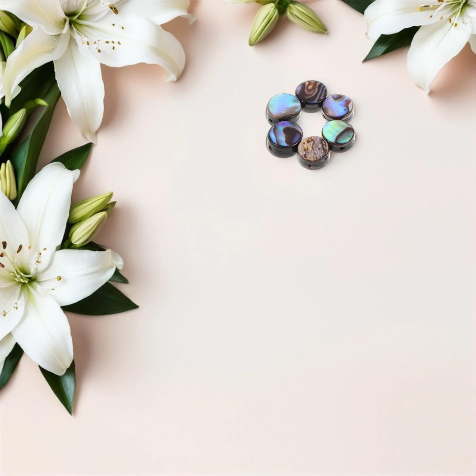 20Pcs Abalone Shell Beads Iridescent Flat Round DIY Jewelry Charms 6mm Mini Spacer Beads for Crafting Bracelets Necklaces
20Pcs Abalone Shell Beads Iridescent Flat Round DIY Jewelry Charms 6mm Mini Spacer Beads for Crafting Bracelets Necklaces