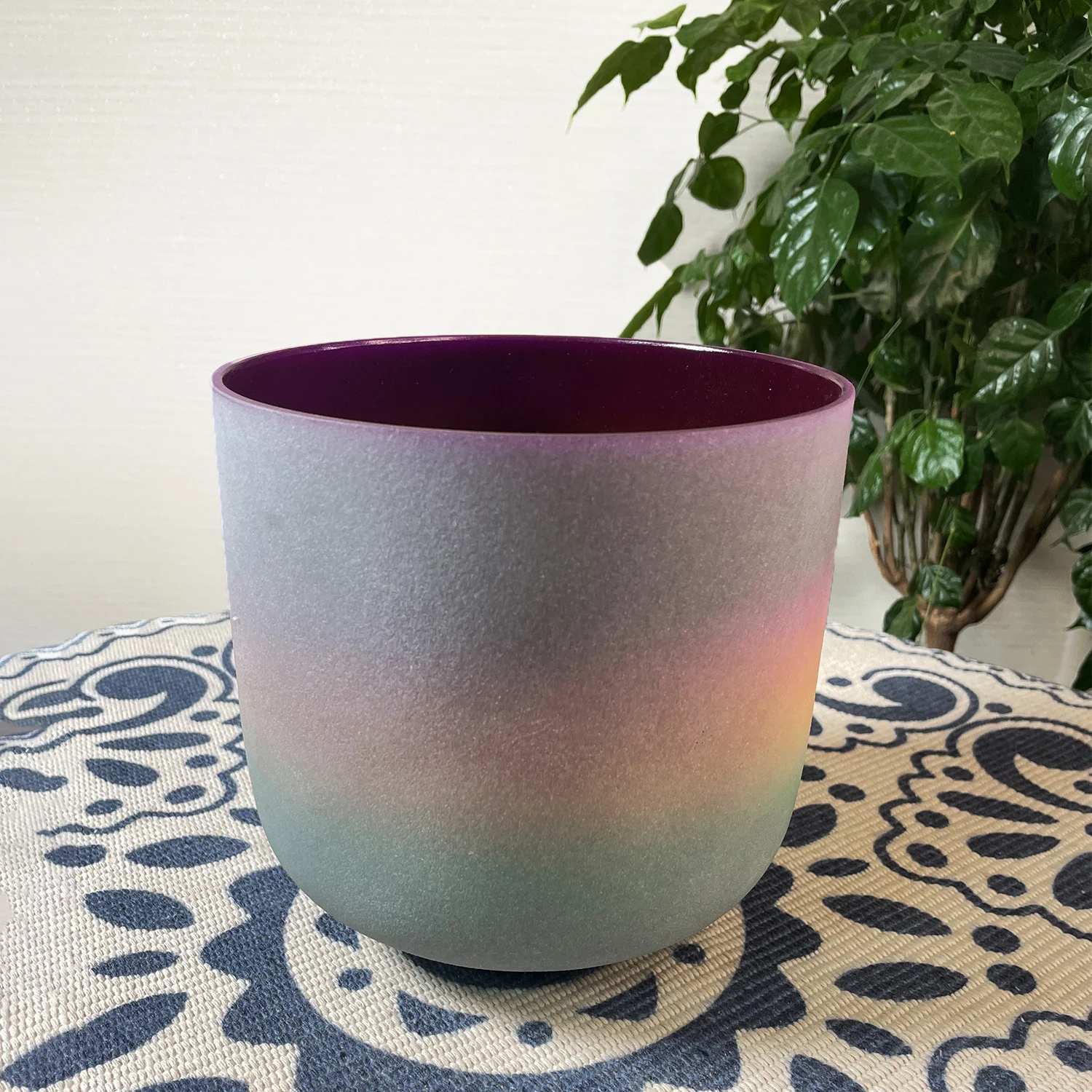 KVKA 8 Inch A B C D E F G Note 432hz 440hz Rainbow Frosted Crystal Singing Bowl for Sound Healing Meditation Yoga Sound Healing
KVKA 8 Inch A B C D E F G Note 432hz 440hz Rainbow Frosted Crystal Singing Bowl for Sound Healing Meditation Yoga Sound Healing