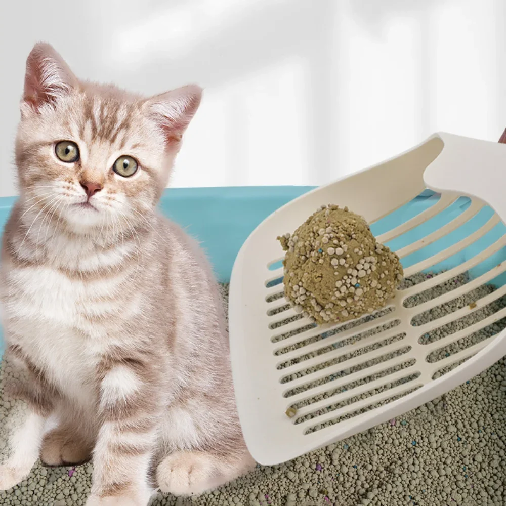Cat Litter Shovel Plastic Cat Toilet Litter Sand Shovel Pet Toilet Cleanning Tool Kitten Litter Scoop Pet Supplies
Cat Litter Shovel Plastic Cat Toilet Litter Sand Shovel Pet Toilet Cleanning Tool Kitten Litter Scoop Pet Supplies