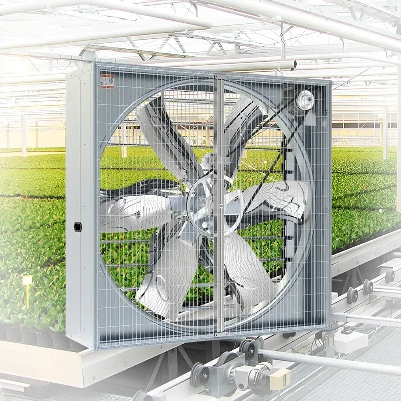 OEM Agriculture Ventilation Equipment Axial Cooling Fan for Greenhouse/Poultry Farm/Industrial/Chicken/Pig/Cow House
OEM Agriculture Ventilation Equipment Axial Cooling Fan for Greenhouse/Poultry Farm/Industrial/Chicken/Pig/Cow House