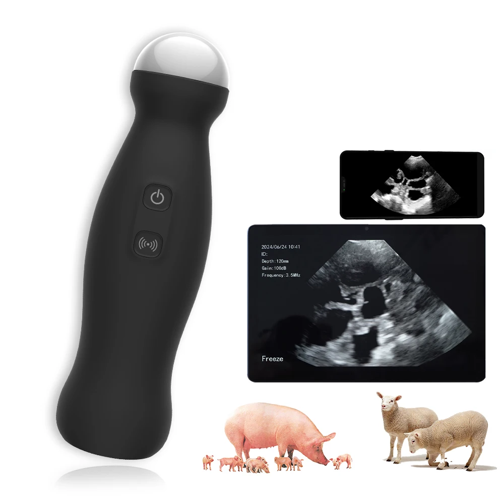 Wireless Veterinary Ultrasound Scanner for Pig Sheep Dog, Portable Ultrasound Machine 3.5MHz Vet Pregnancy for Android/Tablet
Wireless Veterinary Ultrasound Scanner for Pig Sheep Dog, Portable Ultrasound Machine 3.5MHz Vet Pregnancy for Android/Tablet