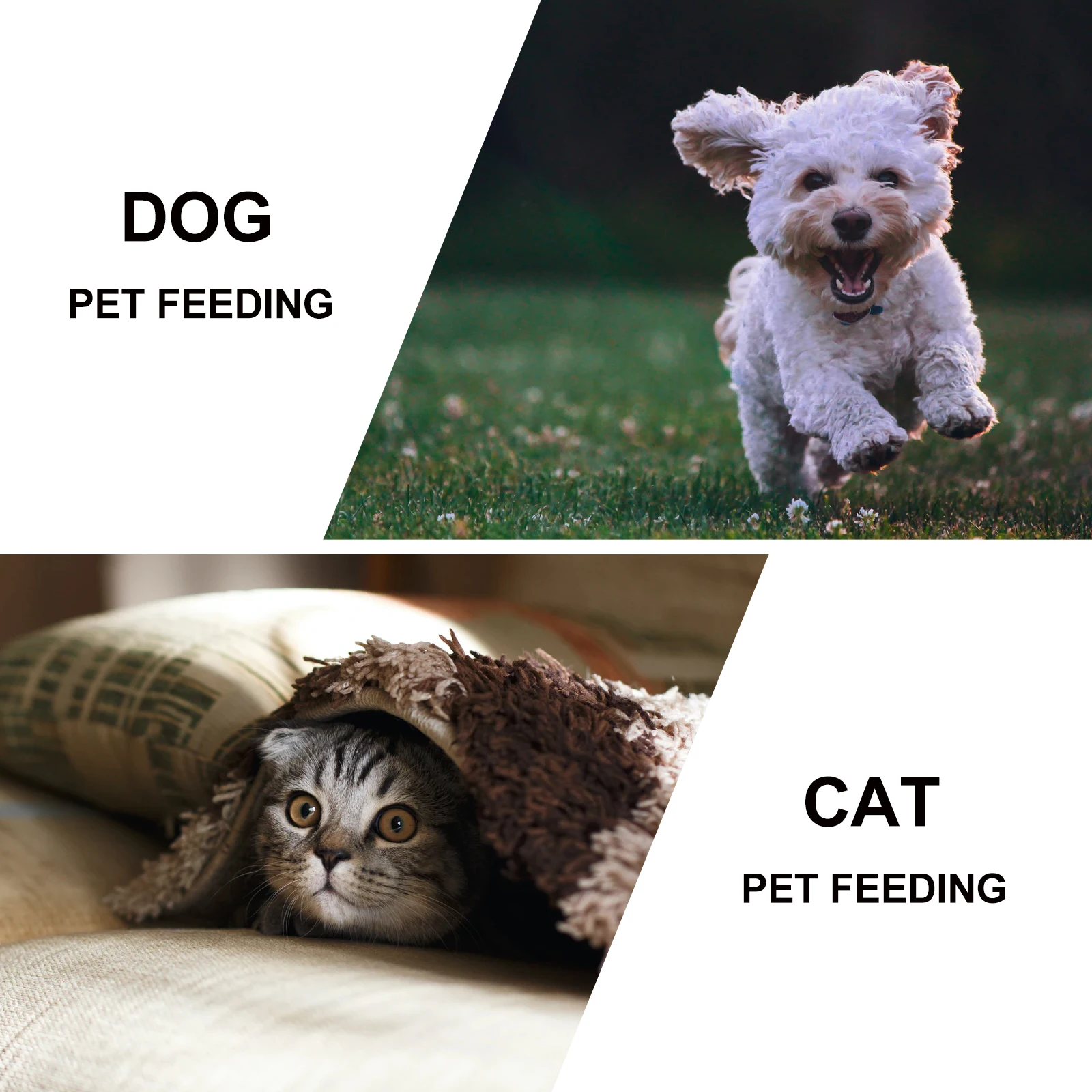 Pet Double Feeder Bowl Non-Tip Heavy Duty Cat Dog Feeding Water Dispenser Smooth Safe Environmentally Friendly Pet Supplies
Pet Double Feeder Bowl Non-Tip Heavy Duty Cat Dog Feeding Water Dispenser Smooth Safe Environmentally Friendly Pet Supplies