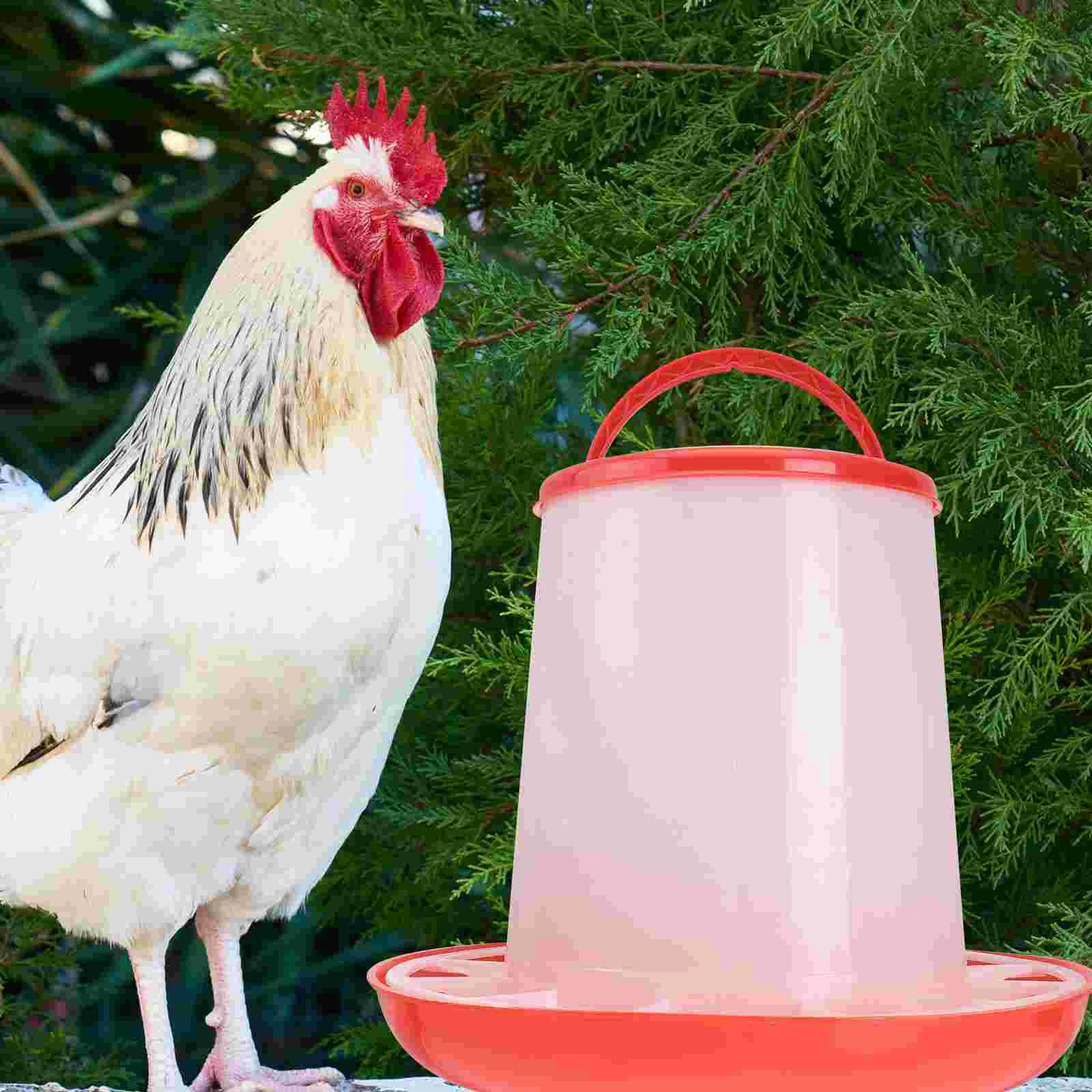 Duck Feeder Waterer Quail Poultry Food Tray Chick Drinking Bowl Feeding Basin Bird Hanging Feeders
Duck Feeder Waterer Quail Poultry Food Tray Chick Drinking Bowl Feeding Basin Bird Hanging Feeders