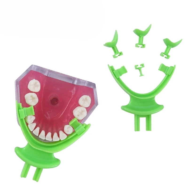 5x7Pcs/Set Dental Centric Tray BPS Edentulous Jaw Impression Trays Occlusal Articulator Facebow Implantology for Dentist Tool
5x7Pcs/Set Dental Centric Tray BPS Edentulous Jaw Impression Trays Occlusal Articulator Facebow Implantology for Dentist Tool