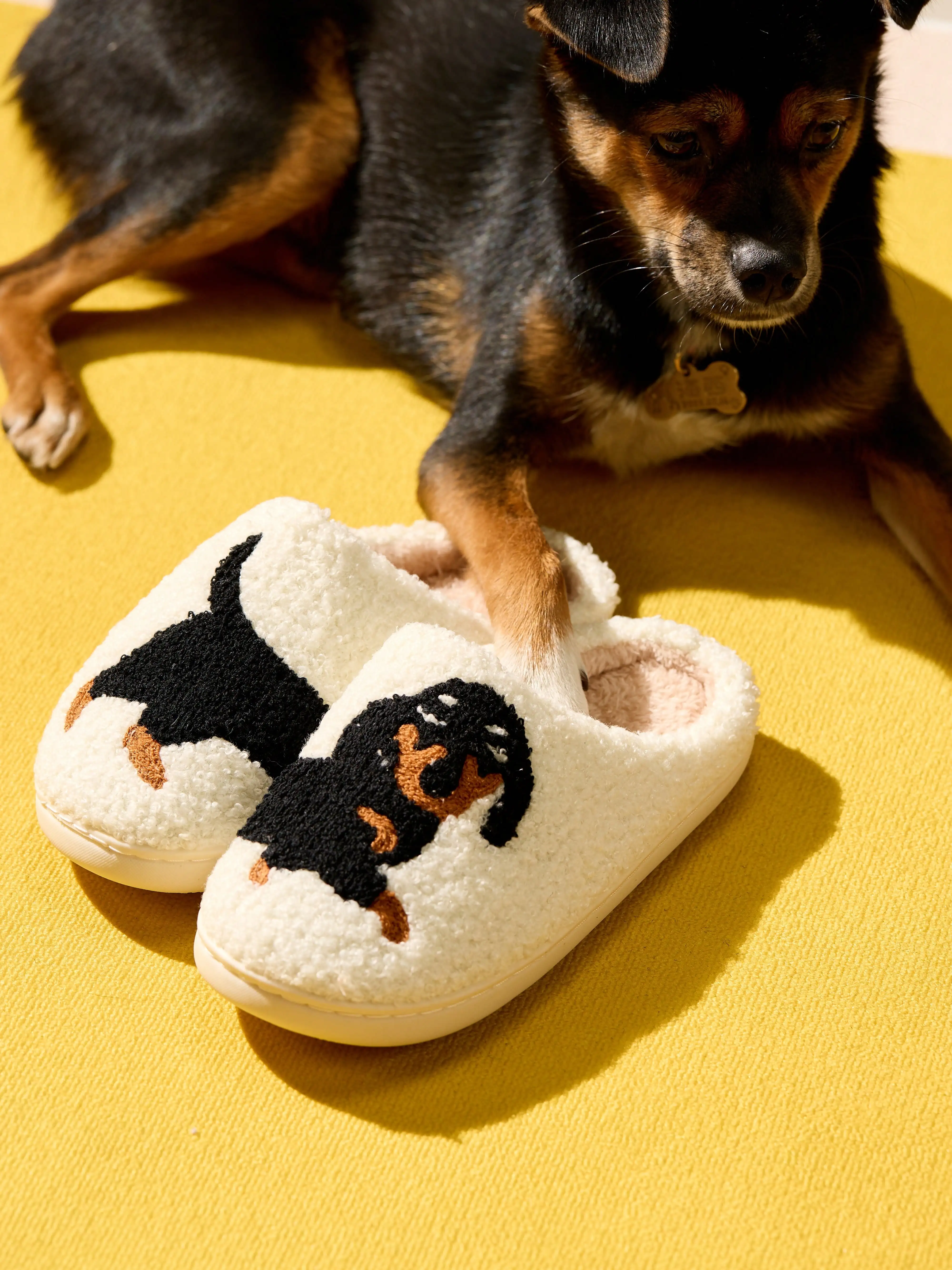 Plush Dachshund Embroidered Thick Sole Checkered Furry Indoor Slippers, Anti-Slip Warm Ladies Home Cartoon Dog Slippers,
Plush Dachshund Embroidered Thick Sole Checkered Furry Indoor Slippers, Anti-Slip Warm Ladies Home Cartoon Dog Slippers,