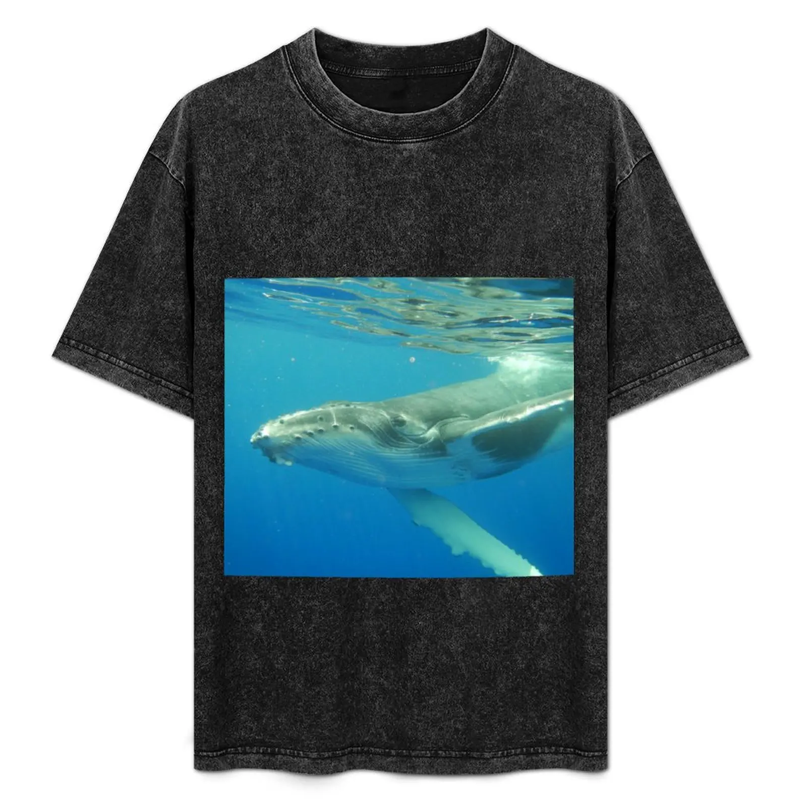 Friendly Humpback whale calf T-Shirt Casual Streetwear Short Sleeve Tee
Friendly Humpback whale calf T-Shirt Casual Streetwear Short Sleeve Tee